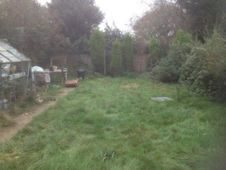 Before renovation. Overgrown lawn and run-down grrenhouse area